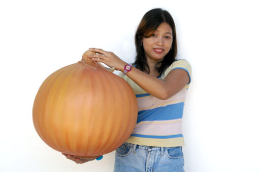 ONION JR 2529 - Image 2