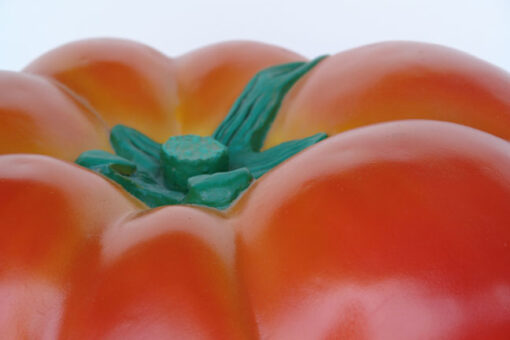 TOMATO JR 2527 - Image 2
