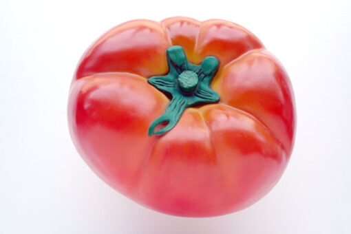TOMATO JR 2527 - Image 4