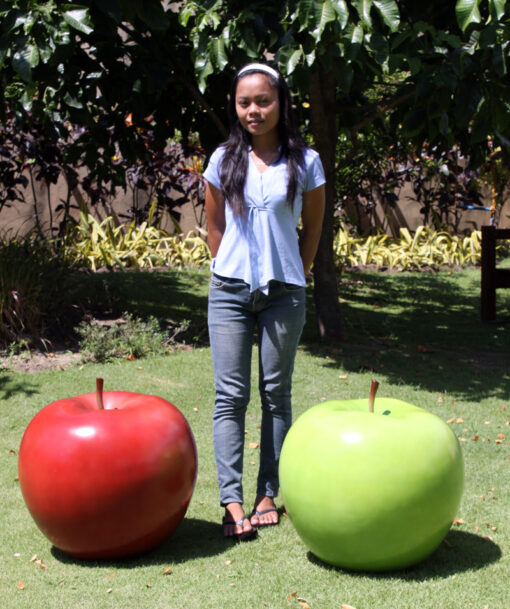 APPLE JR 100026