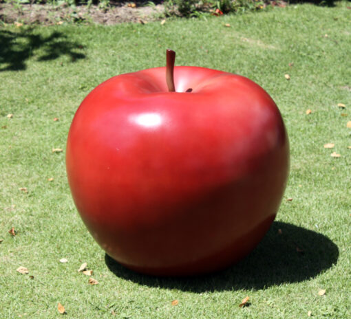 APPLE JR 100026 - Image 4