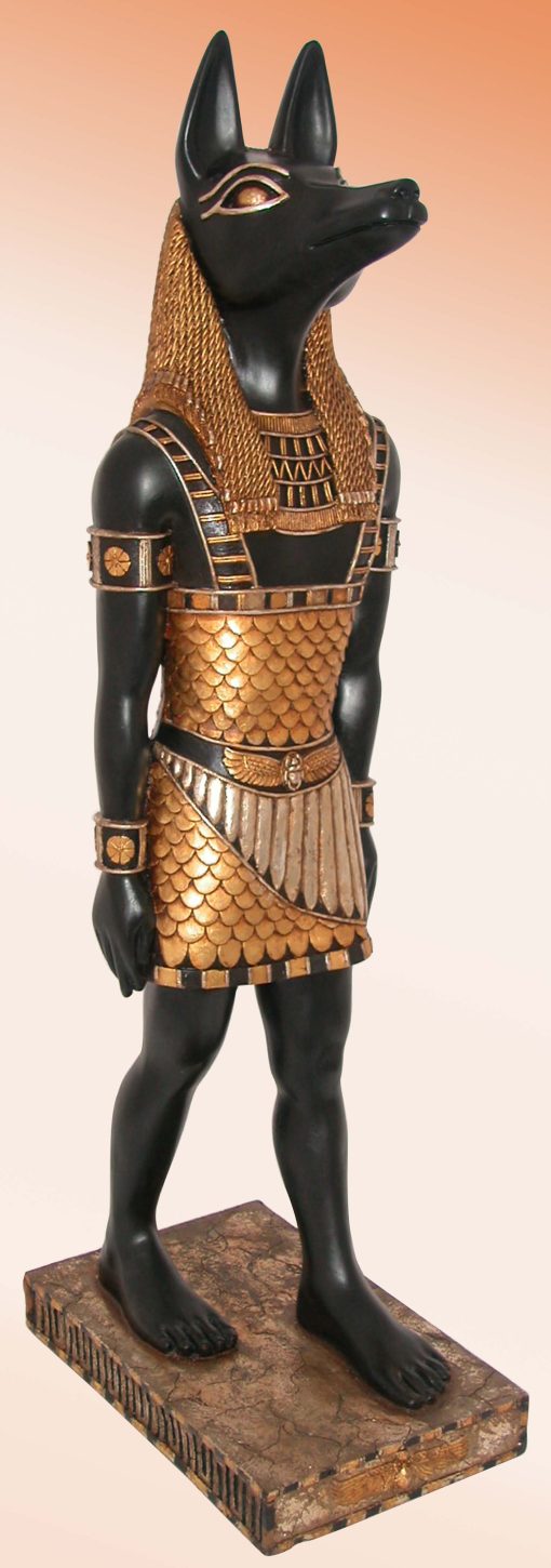ANUBIS JR AFAN3
