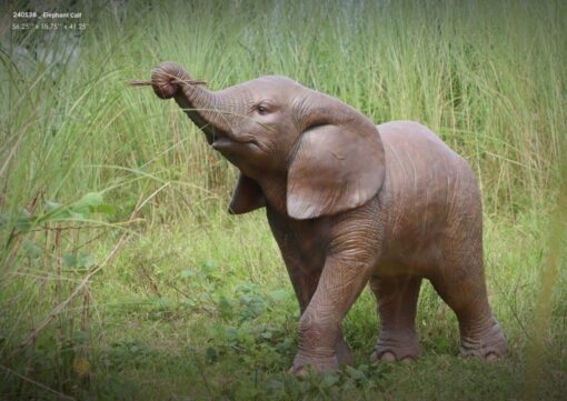 ELEPHANT CALF JR 240138