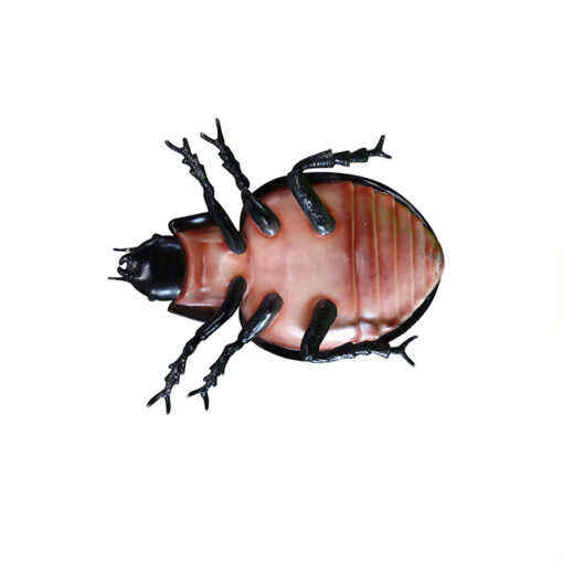 LADY BUG / BEETLE JR  R-176 - Image 2