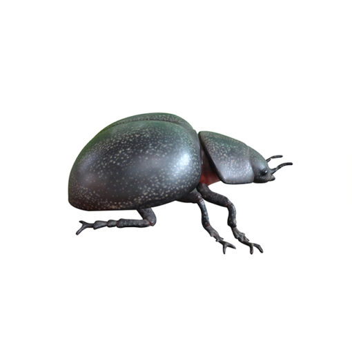 LADY BUG / BEETLE JR  R-176