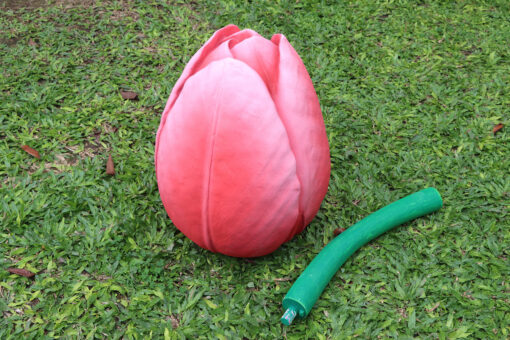 TULIP PINK JR 110033P