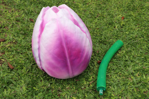 TULIP PURPLE HYBRID JR 110033PH