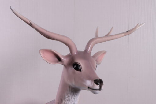 WHITE DEER JR 230107 - Image 3