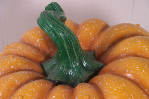 PUMPKIN BROTHERS - MOE JR 240169 - Image 7