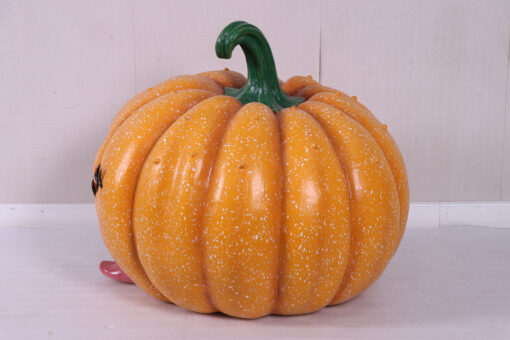 PUMPKIN BROTHERS - CURLY JR 240170 - Image 8