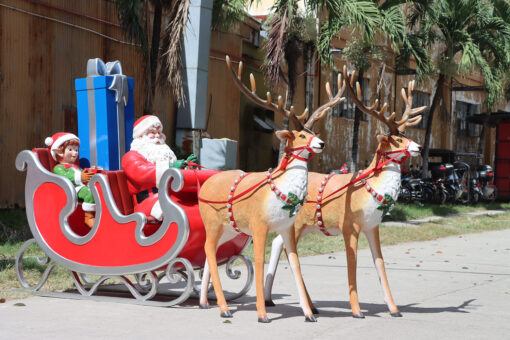 REINDEER JR 240186 - Image 4