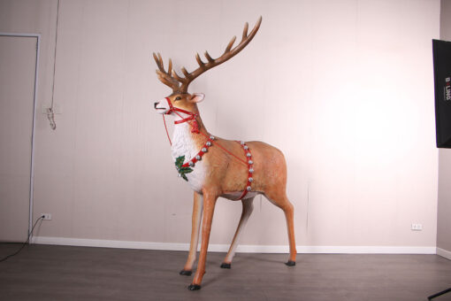 REINDEER JR 240186