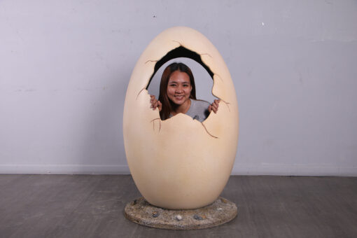 DINOSAUR PEEKABOO EGG - PHOTO OP JR 250044 - Image 10