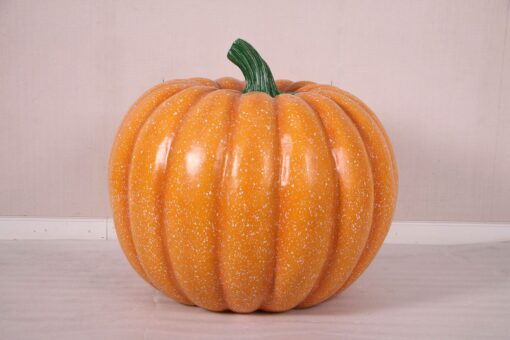 PUMPKIN 70CMS JR 250059 - Image 4