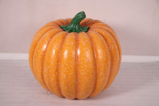PUMPKIN 70CMS JR 250059 - Image 6