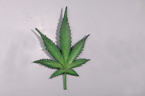 CANNABIS LEAF JR 150020 - Image 5